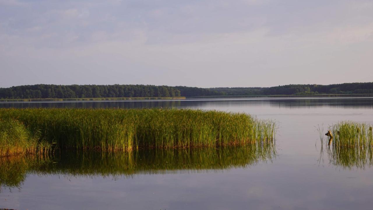 Yacht Club Apartamenty Radzyń Kültér fotó